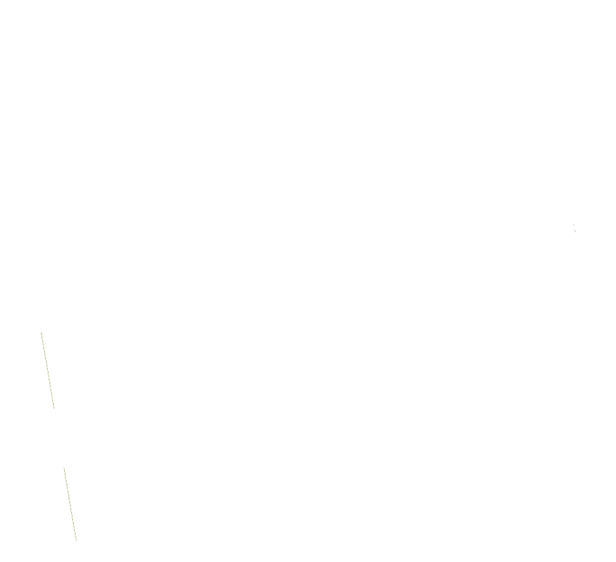 ticket icon