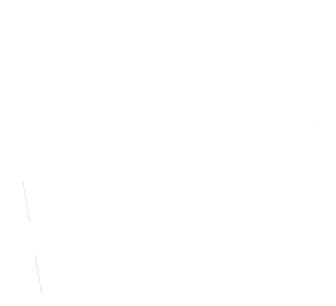 ticket icon